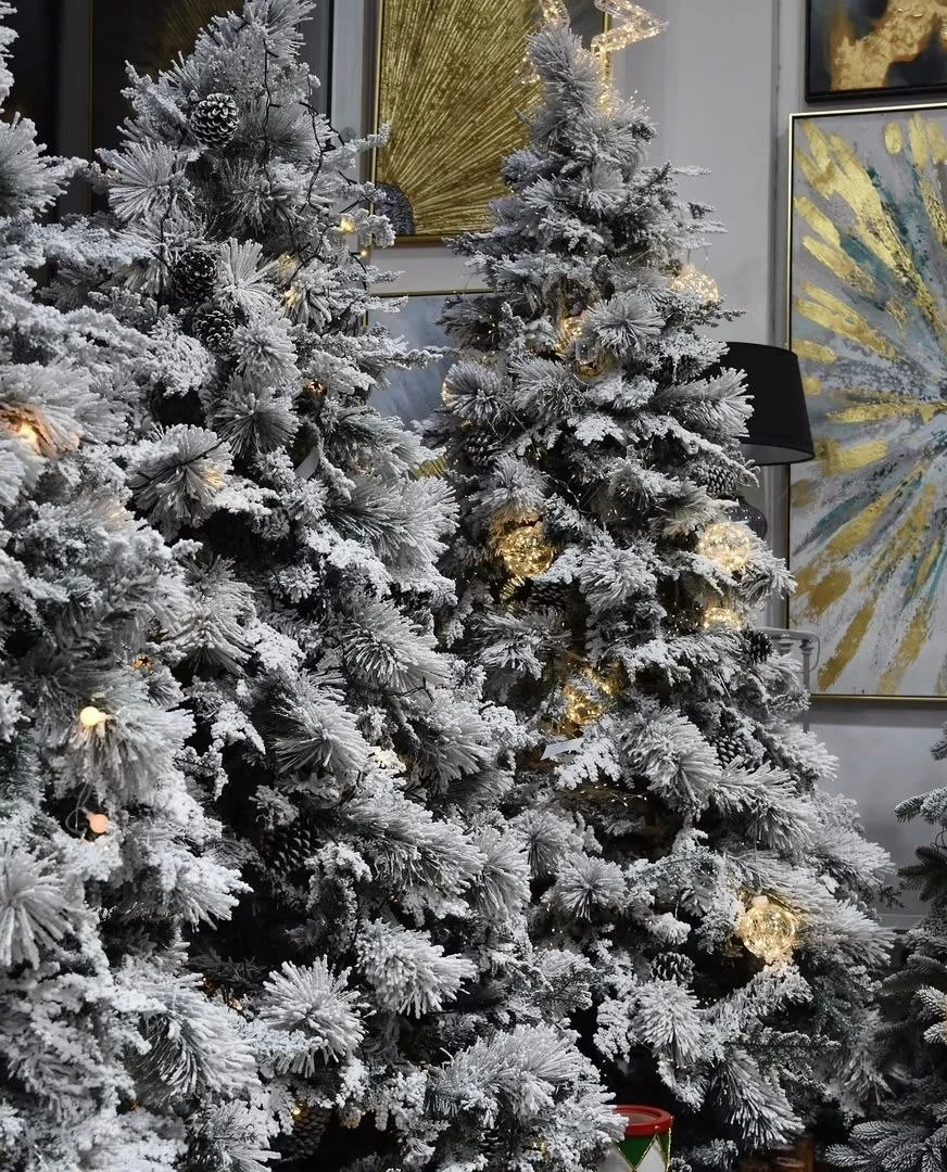 Close view of snow-flocked pine branches and pinecones beside a lit tree decorated with gold ornaments.